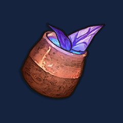 Dwellberry Infusion