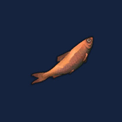 Fried Sardine