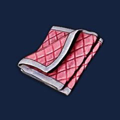 Padded Cloth