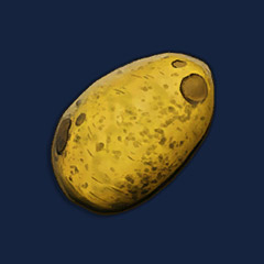 Potato