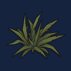 Weeds