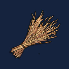 Wheat