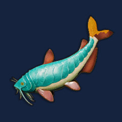 Pristine Armoured Catfish