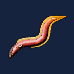 Pristine Infernal Eel