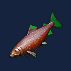 Pristine Monkfish