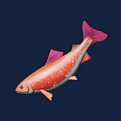 Pristine Salmon