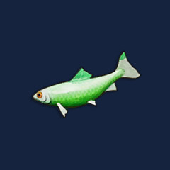 Pristine Sardine