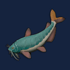 Raw Armoured Catfish
