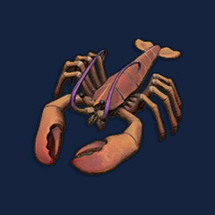 Raw Lobster
