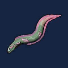 Raw Undead Eel