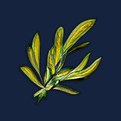 Marrentill