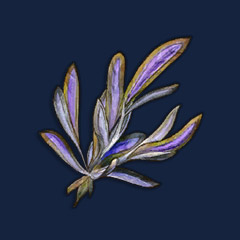 Snapdragon