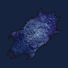 Blue Dragon Leather