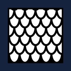 Snake Skin