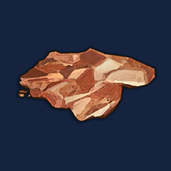 Bronze Leaf