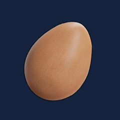 Egg