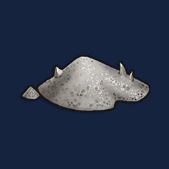 Ground Dragon Tooth