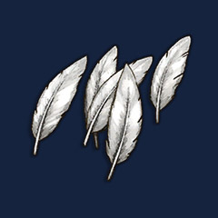 Warped Feathers
