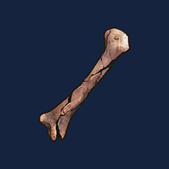Undead Bone