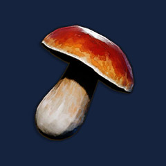 Bittercap Mushroom