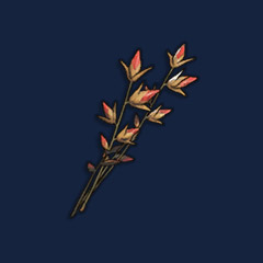 Desert Weed