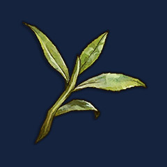 Tea Leaves