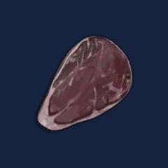 Raw Game Meat