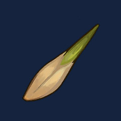 Ash Tree Seed