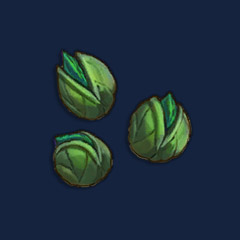 Avantoe Seeds