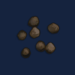 Cabbage Seeds