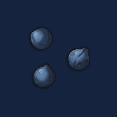 Dwellberry Seeds