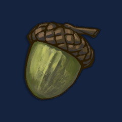 Oak Tree Seed