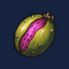 Pipe Cactus Seeds