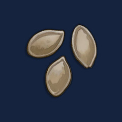 Pumpkin Seeds