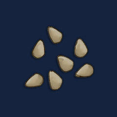Tomato Seeds