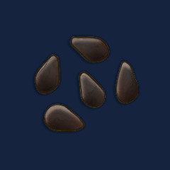 Watermelon Seeds