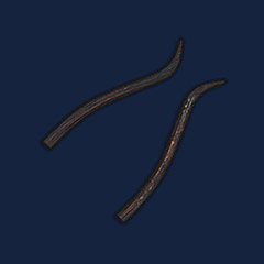 Bronze Crossbow Limbs