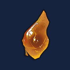 Maple Sap
