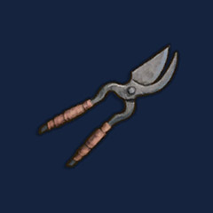 Iron Secateurs