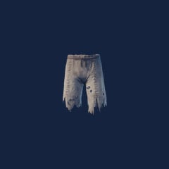 Ragged pants