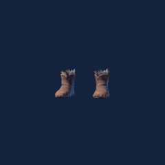 Fur Boots