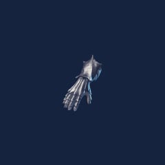 Guard of the North Gloves