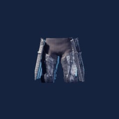Guard of the North Pants