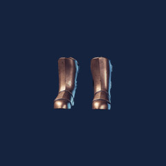 Guardian Boots
