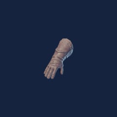 Rising Fighter Gloves