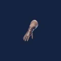 Assassin Gloves