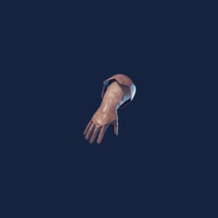 Hawk Gloves