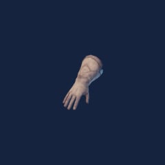 Ranger Gloves