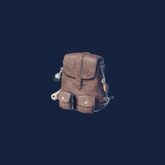 Large Backpack