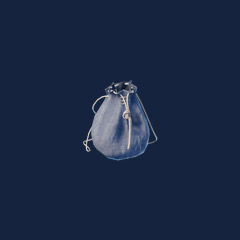 Small Backpack